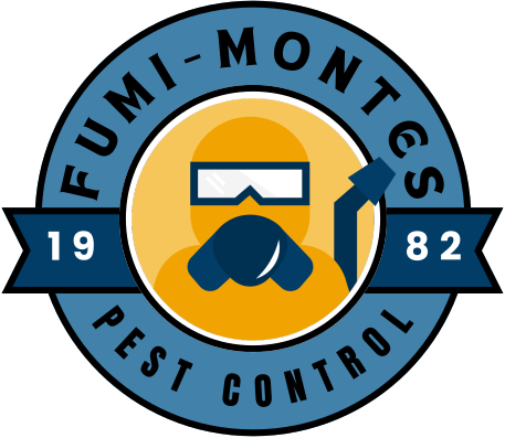 Fumi Montes